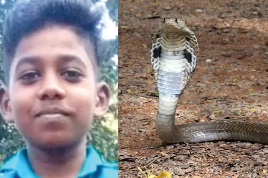 11-year-old Idukki boy mistakes snakebite for minor injury, dies two days later
