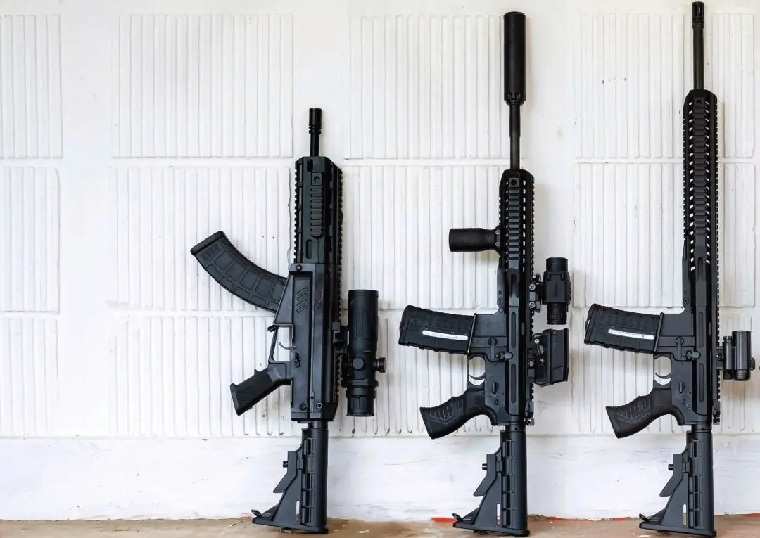 Rifles manufactured by SSS Defence