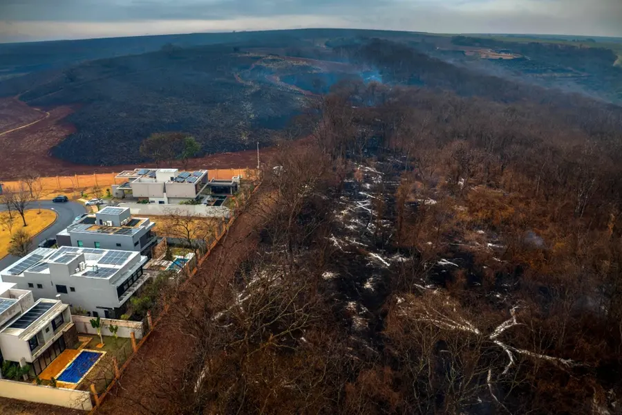 Wildfires in Brazil: Dozens of cities on high alert