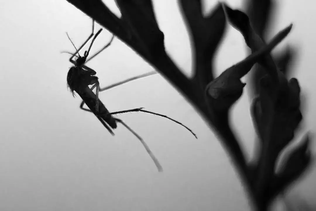 Representative Image | Photo: Canva