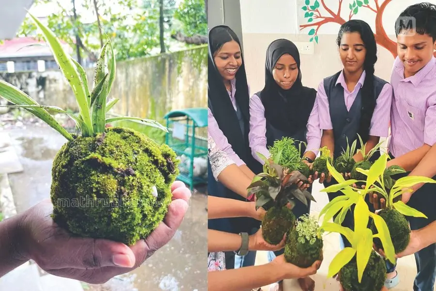 NSS students to introduce ‘Kokedama’: A new green initiative in Kerala