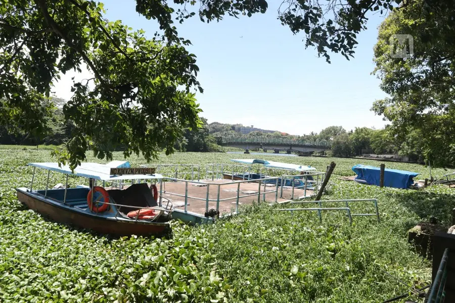 Driver shortage disrupts boat services at Veli Tourist Village