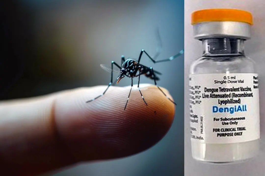 DengiAll, an indigenous tetravalent dengue vaccine, has been developed by Panacea Biotec