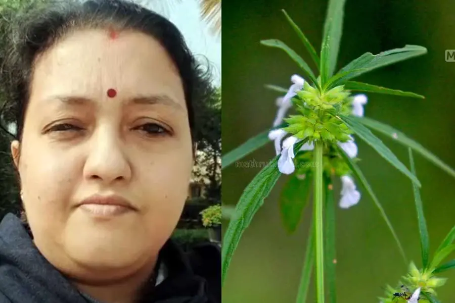 Death of Cherthala woman suspected to be due to alleged consumption of Thumba flower