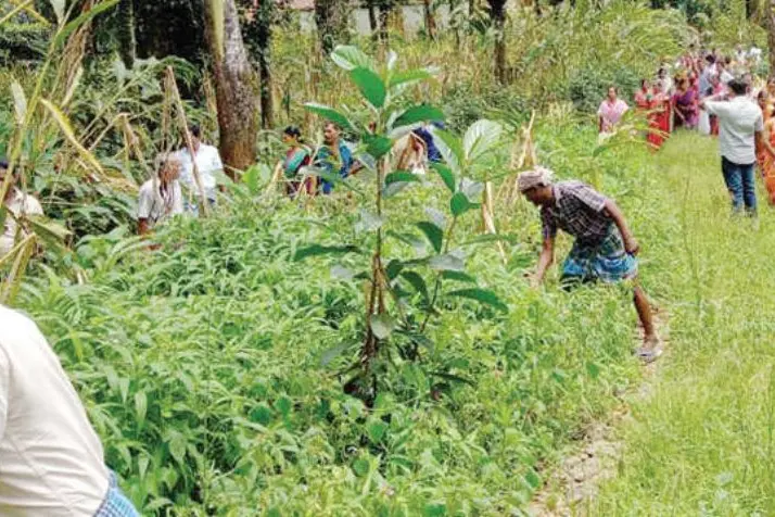Rs 6 Cr worth unpaid salaries, benefits: Workers seize 430 acres of cardamom estate in Idukki