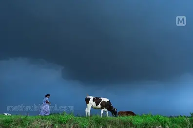 Weather updates: Kerala to receive isolated rain till January 6; northeast monsoon weak