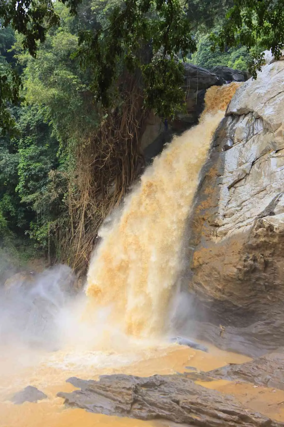 A scene from landslide-hit Wayanad | Photo: K K Santhosh/Mathrubhumi
