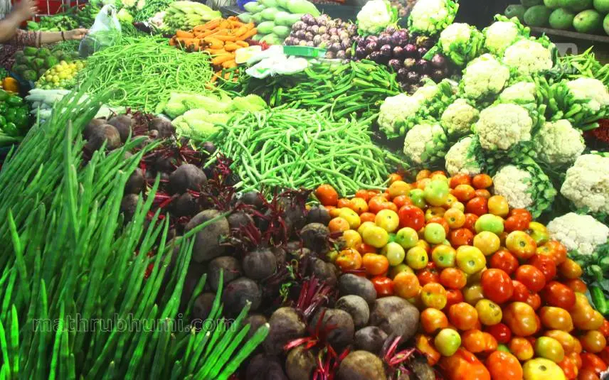 Representational Image | Mathrubhumi