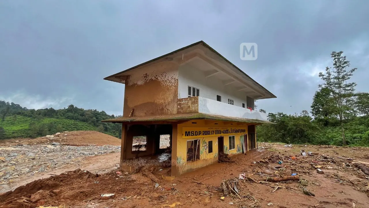 Wayanad: Aftermath of Tragedy