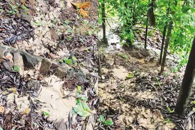 3 districts in Kerala face severe soil piping phenomena, reveals new study