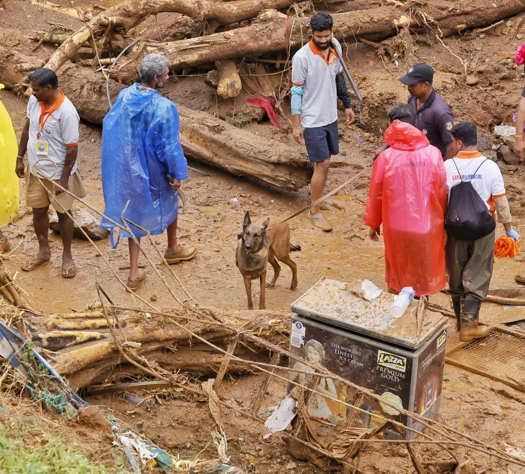 Rescue operations underway in Wayanad | Photo: Mathrubhumi