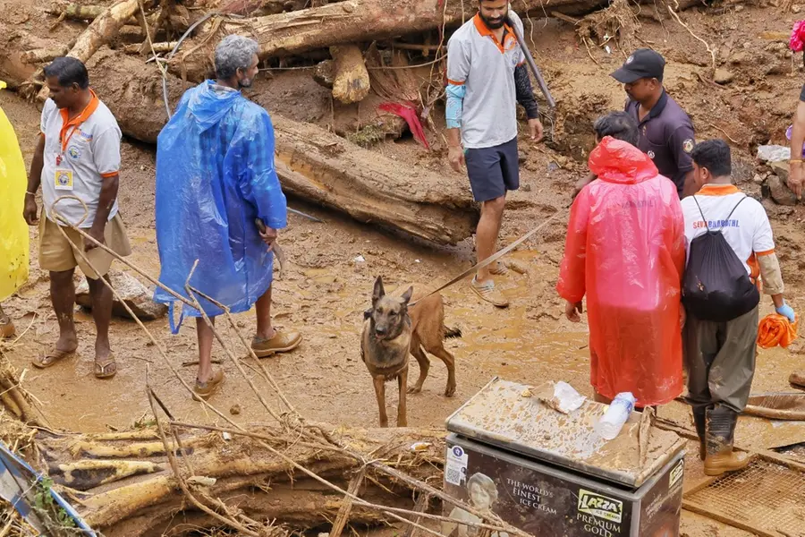 Wayanad landslide toll rises over 290; heavy machinery urged to uncover trapped victims