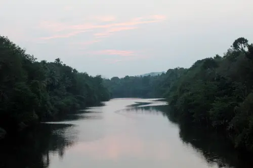 Meenachil river | Photo: Mathrubhumi