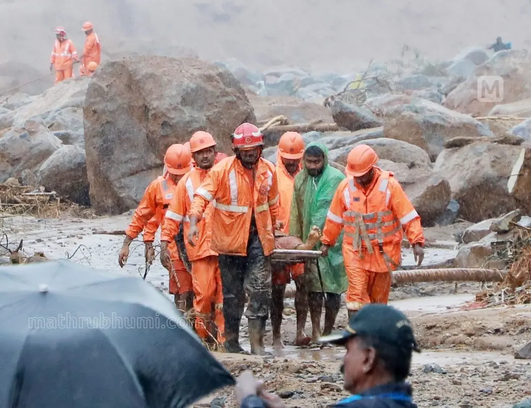 Rescue mission at Chooralmala | Photo: Wayanad District Information Office