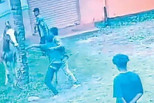 Pregnant mare brutally attacked by group in Kollam: CCTV footage reveals incident