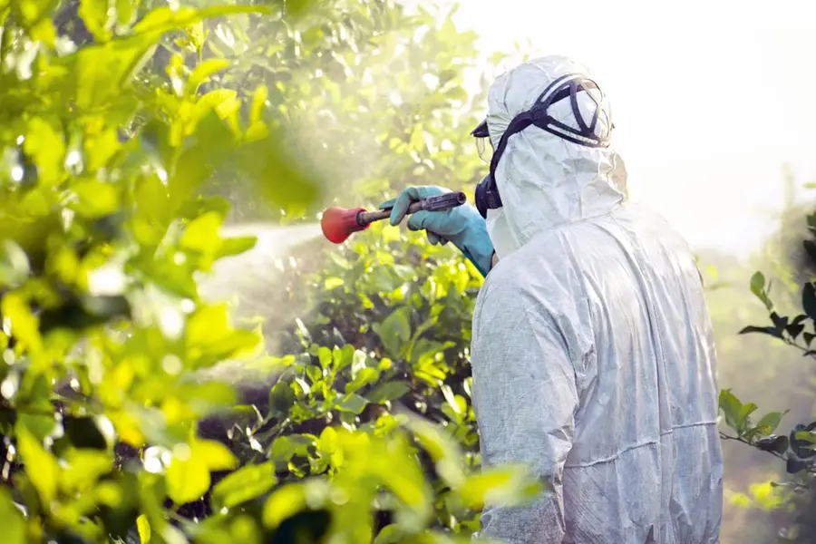 Pesticides pose cancer risks similar to smoking, finds research
