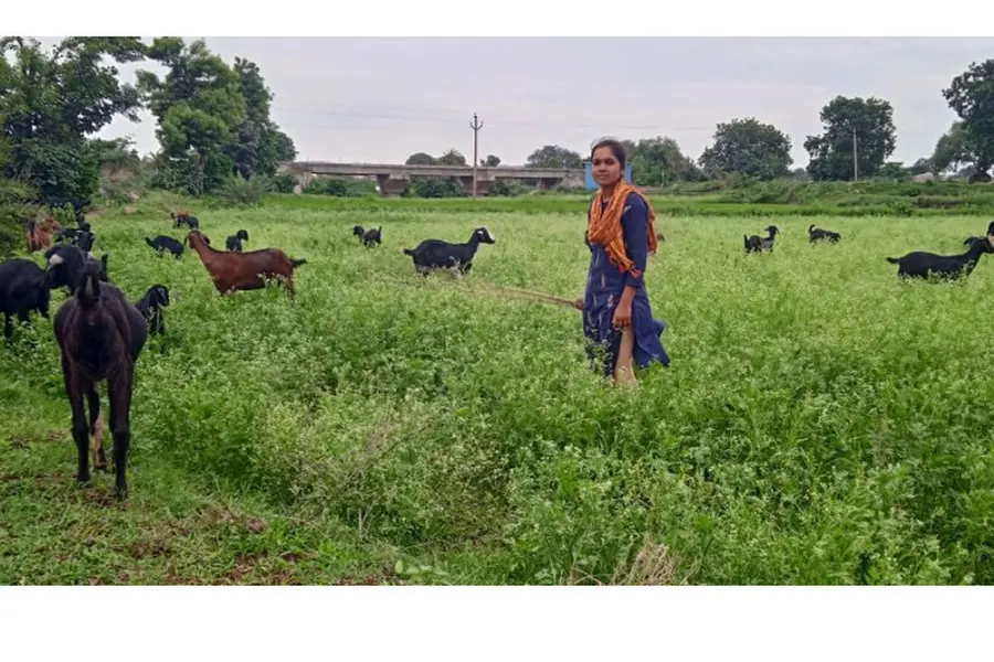 Telangana CM steps supports tribal girl forced to herd goats despite IIT admission