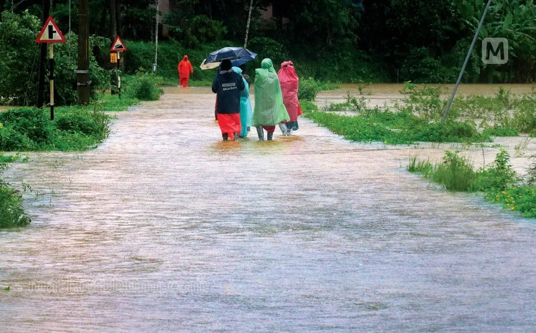 Wayand rain and flood 2024 | Photo: VP Ullas