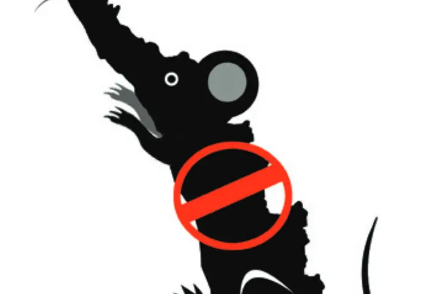 Leptospirosis in Kerala claims 152 lives, experts urge for study