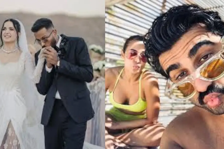 Hardik-Natasa divorce: Celebrity couples who split in 2024