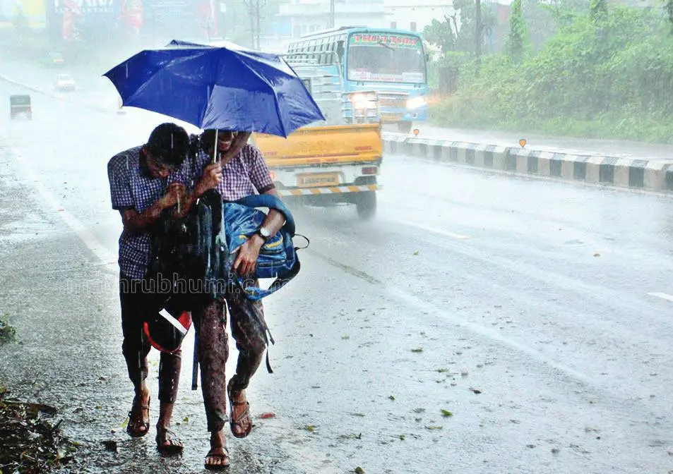 Representational Image | Photo: Mathrubhumi