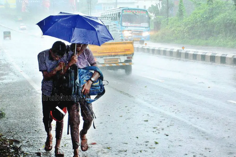 Kerala rains: Holiday declared for educational institutions in 8 districts on Wednesday