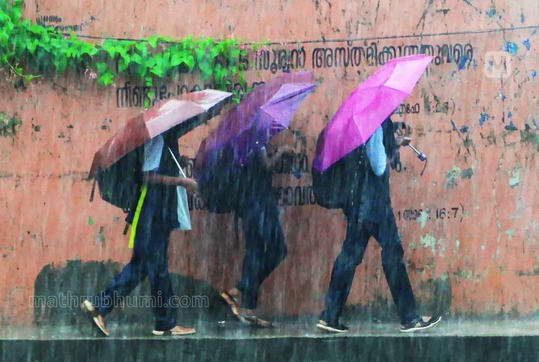 Representative image | Photo: Mathrubhumi