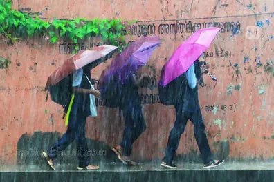 Heavy rain: Holiday announced for schools in Kottayam district, Devikulam Taluk on Wednesday
