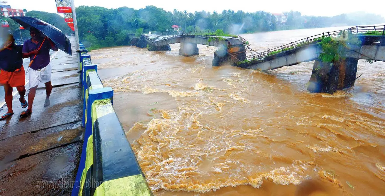 Bharathappuzha overflows touching the banks on both sides. A view from Shoranur new bridge. Also seen is the old Kochi bridge which collapsed in 2011. | Photo :  PP Ratheesh, Mathrubhumi