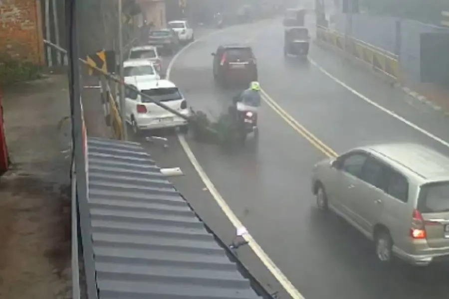 Watch as bikers miraculously escape after tree falls on road in Kerala