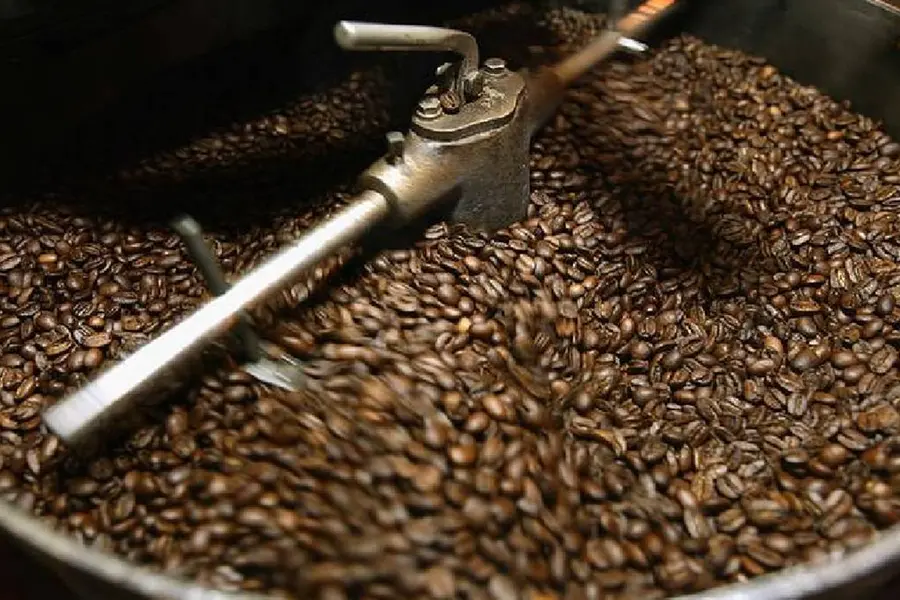 Bitter days for Kerala coffee lovers: 1 kg powder price hits all-time high, costs more than Rs 600