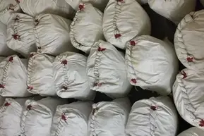 Now drug-trafficking informants can earn lakhs; Kerala forms reward committee