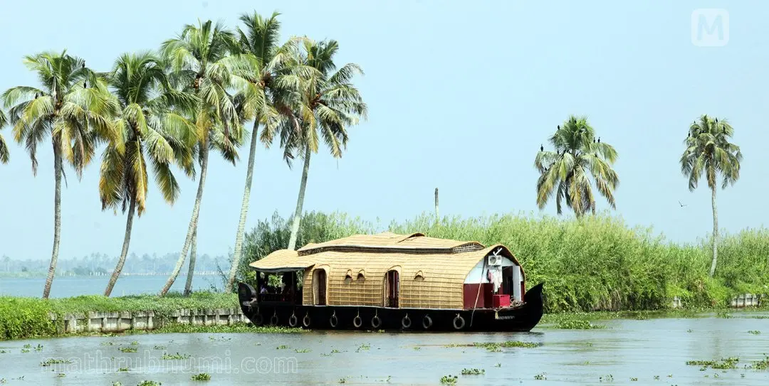 Representational image | Photo: C BijuMathrubhumi
