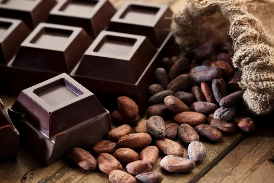 High Chocolate demand; Kerala leads second in cocoa exports