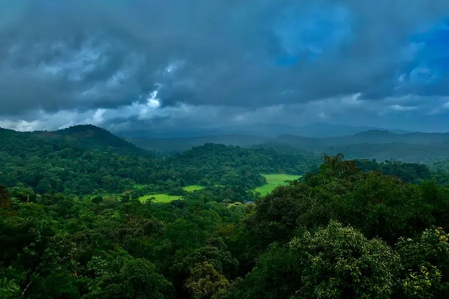 Karnataka's stunning monsoon magic in Coorg – Coffee plantations, waterfalls and more