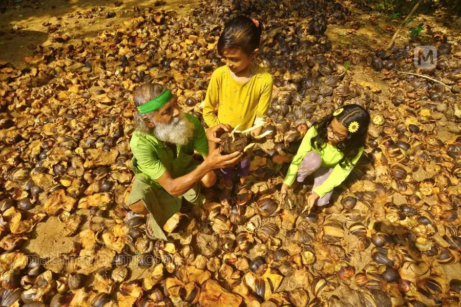 Kallur Balan, Kerala climate activist, devotes life to environmental conservation