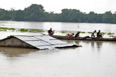 Assam floods claim 8 more lives as animal death toll exceeds 15