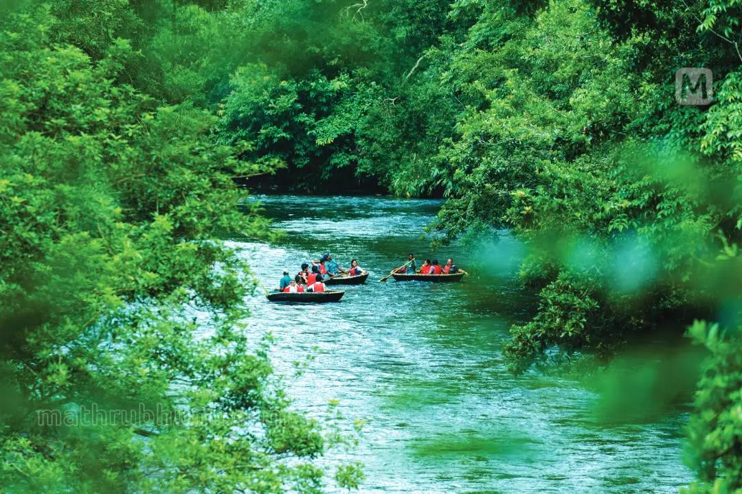 Kuttavanchi trip at Adavi | Mathrubhumi