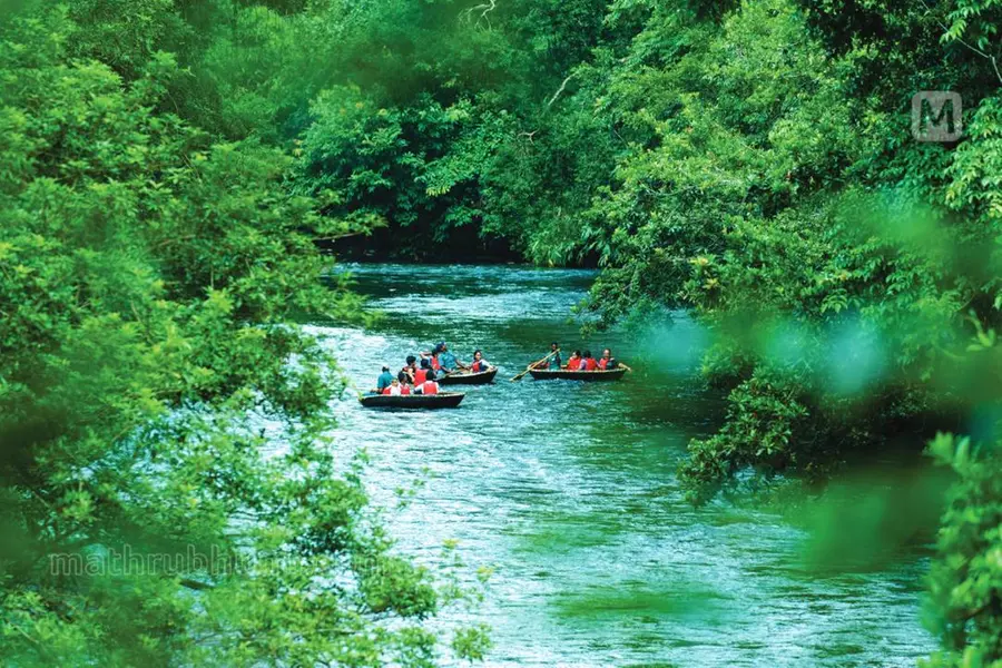 Kerala ecotourism centres go cashless; payments now via UPI apps