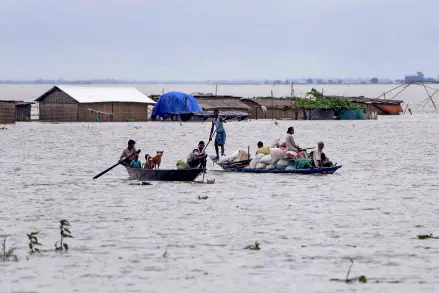 95 forest camps at Kaziranga National Park submerged in Assam floods