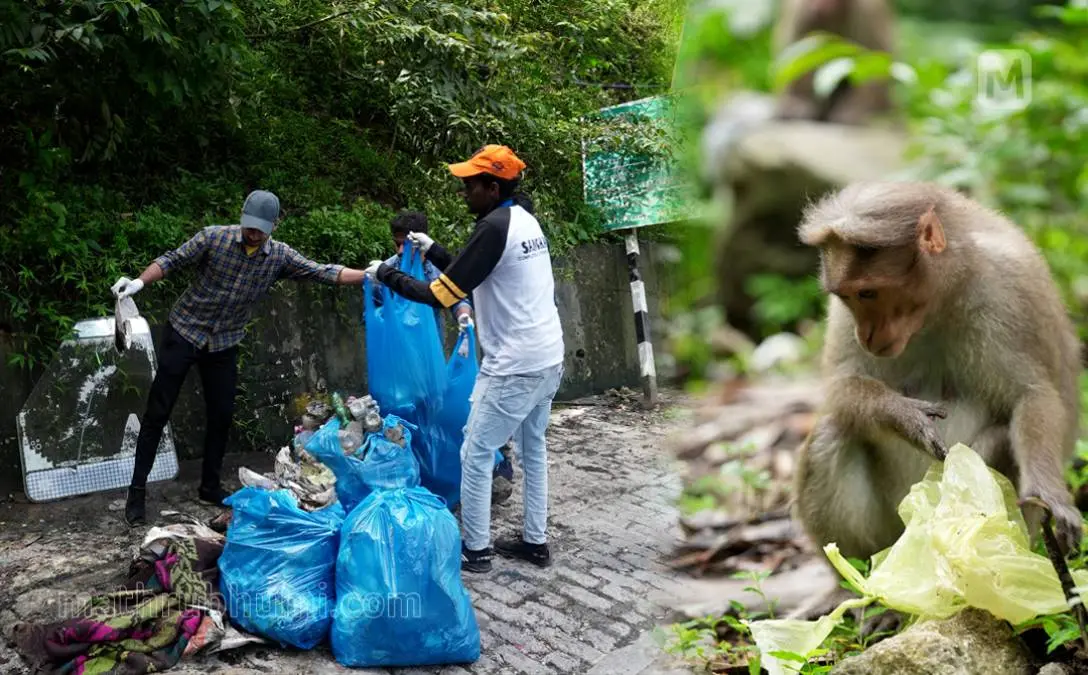 Plastic in Nadukani Churam being eliminated with the help of students and locals, a monkey nearby with a plastic cover | Photo: Mathrubhumi