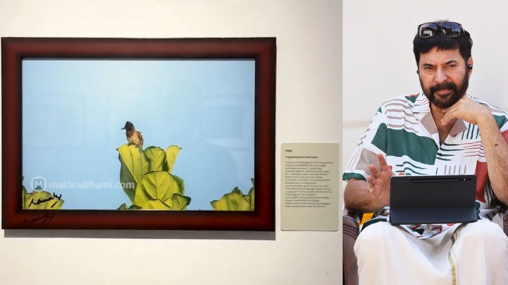Bulbul photograph, Mammootty | Photo: Screengrab