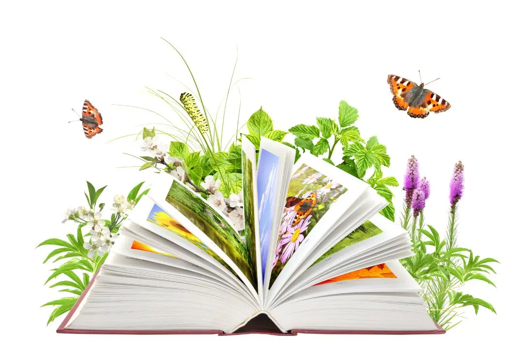 Representative Image | Canva