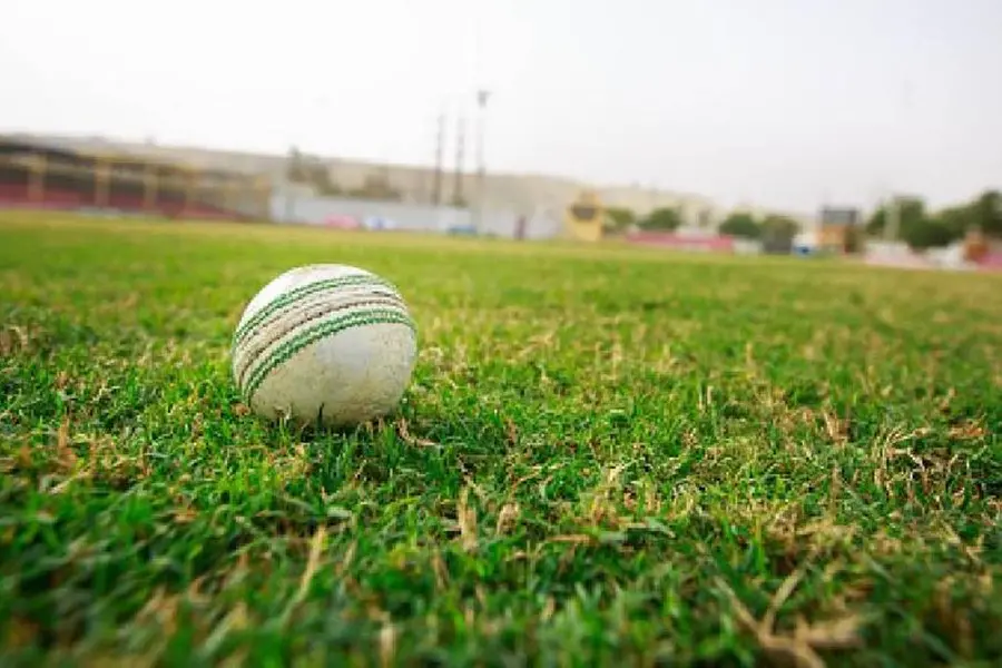 UAE man banned from cricket for 14 years for match fixing