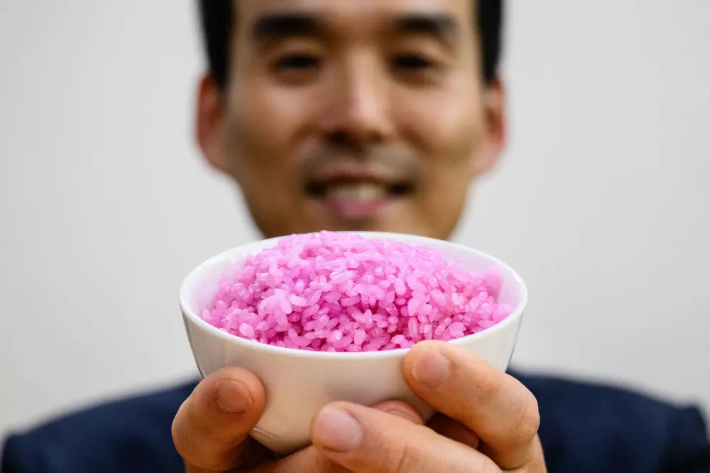 Hong Jin-kee posing with a bowl containing pink 'meaty rice' | AFP