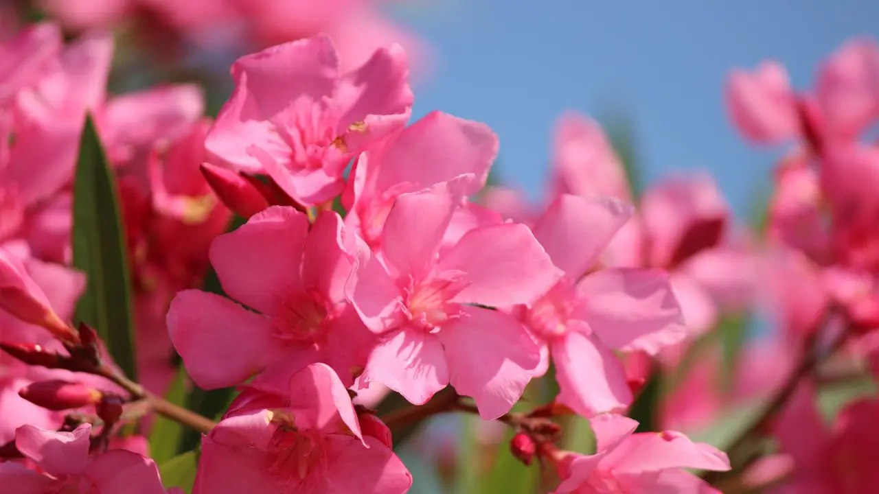 Representational image | Photo: Canva