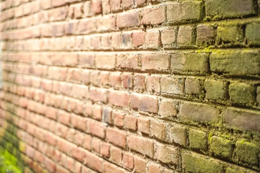 'Resources spent on Kerala compound walls could be used to build housing for poor in 2 states'