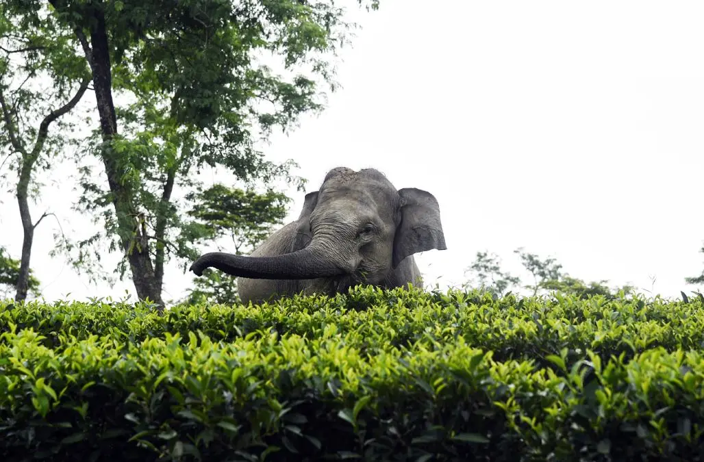 Representational Image | Photo: ANI