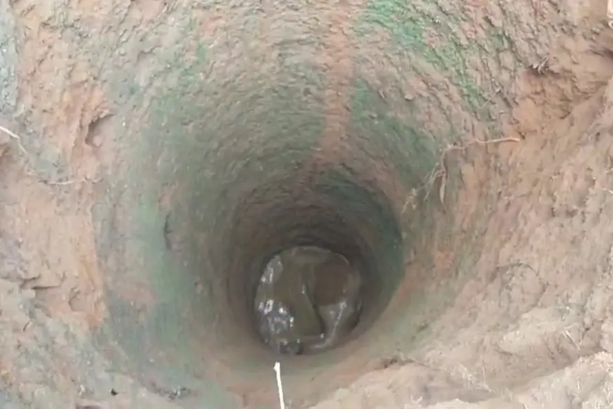 Baby elephant falls into 30-ft deep well in Gudalur; rescue operations on