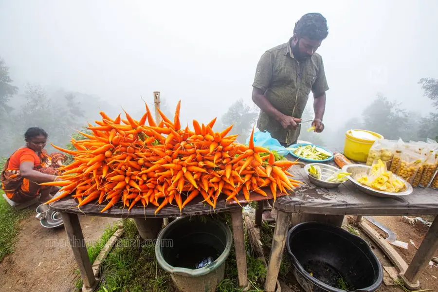 Magical May for Munnar: More than 1 lakh tourists flock to the town